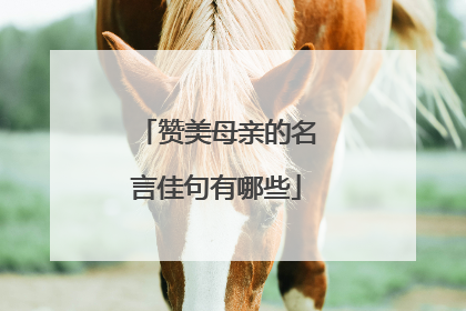 赞美母亲的名言佳句有哪些