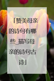 赞美母亲的诗句有哪些_描写母亲的诗句古诗