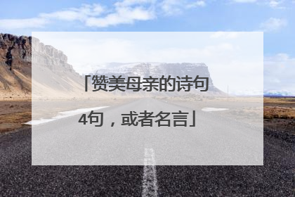 赞美母亲的诗句4句,或者名言