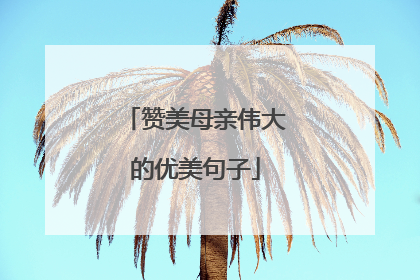 赞美母亲伟大的优美句子