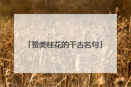 赞美桂花的千古名句