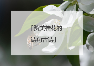 赞美桂花的诗句古诗