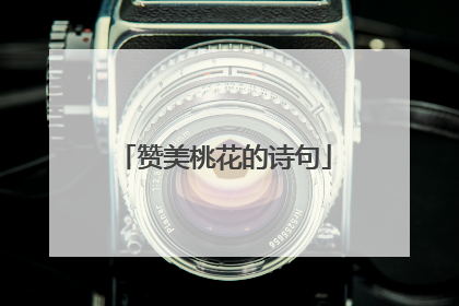 赞美桃花的诗句