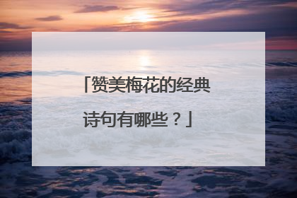 赞美梅花的经典诗句有哪些？