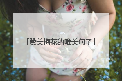 赞美梅花的唯美句子