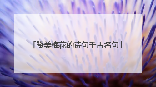 赞美梅花的诗句千古名句