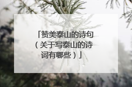 赞美泰山的诗句(关于写泰山的诗词有哪些)