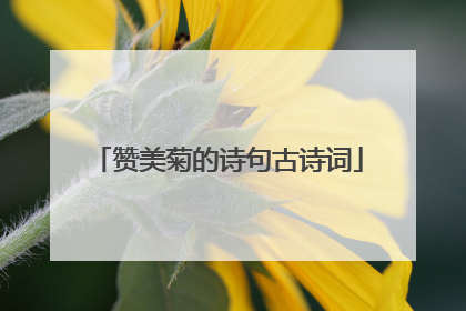 赞美菊的诗句古诗词