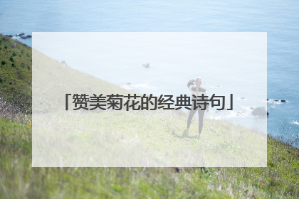 赞美菊花的经典诗句