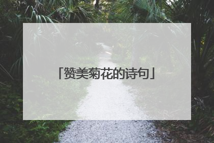 赞美菊花的诗句