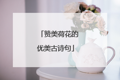 赞美荷花的优美古诗句