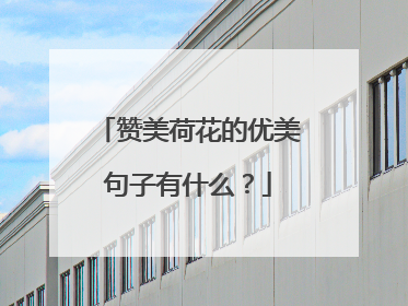 赞美荷花的优美句子有什么？