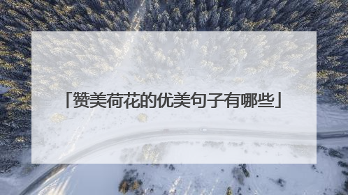 赞美荷花的优美句子有哪些