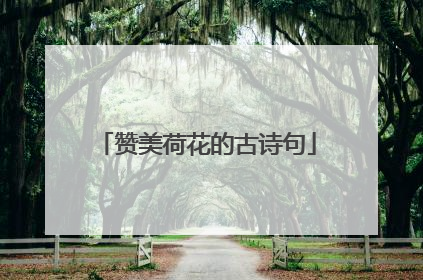 赞美荷花的古诗句