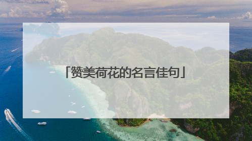 赞美荷花的名言佳句
