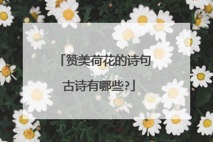 赞美荷花的诗句古诗有哪些?