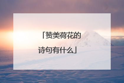 赞美荷花的诗句有什么