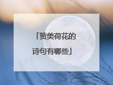 赞美荷花的诗句有哪些