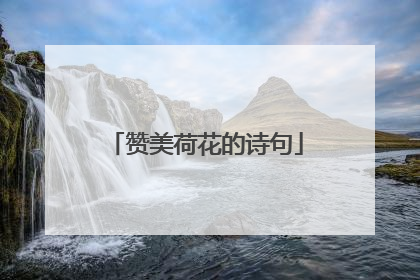 赞美荷花的诗句