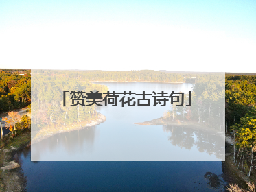 赞美荷花古诗句