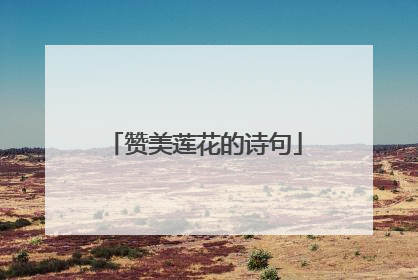 赞美莲花的诗句