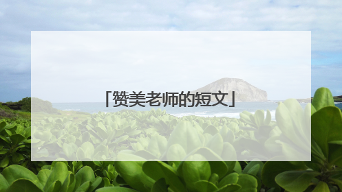 赞美老师的短文