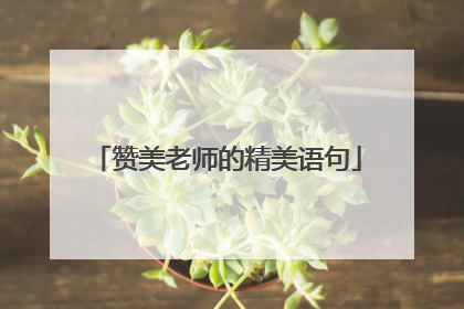 赞美老师的精美语句