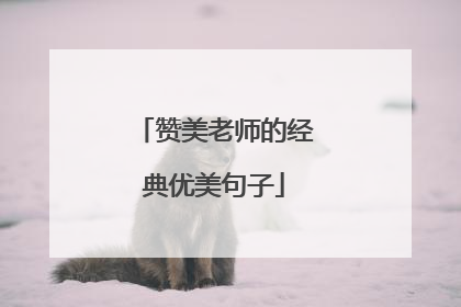 赞美老师的经典优美句子