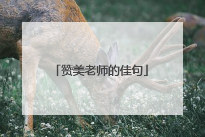 赞美老师的佳句