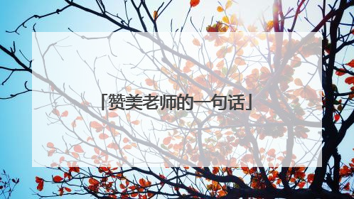 赞美老师的一句话