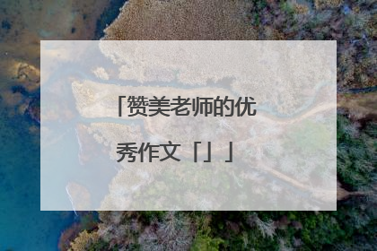 赞美老师的优秀作文「」