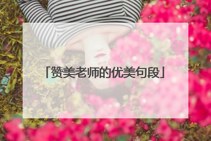 赞美老师的优美句段