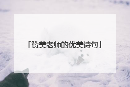 赞美老师的优美诗句