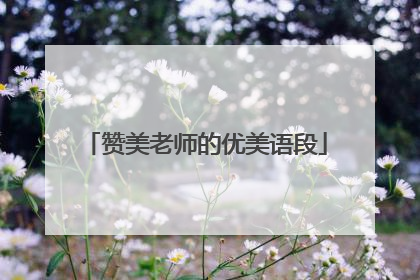 赞美老师的优美语段