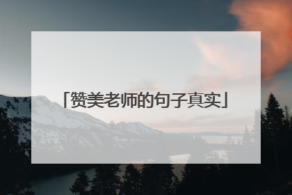 赞美老师的句子真实