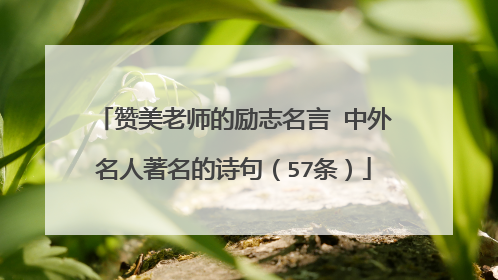赞美老师的励志名言 中外名人著名的诗句（57条）