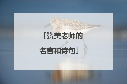 赞美老师的名言和诗句
