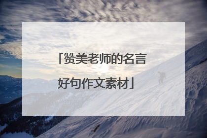 赞美老师的名言好句作文素材