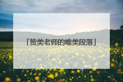 赞美老师的唯美段落