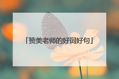 赞美老师的好词好句