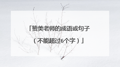 赞美老师的成语或句子（不能超过6个字）