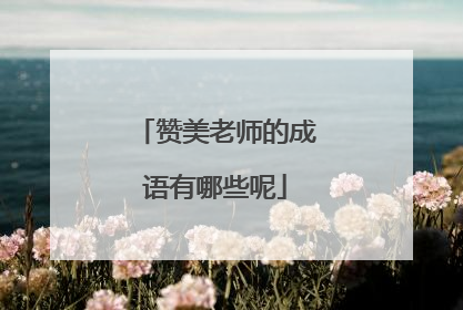 赞美老师的成语有哪些呢