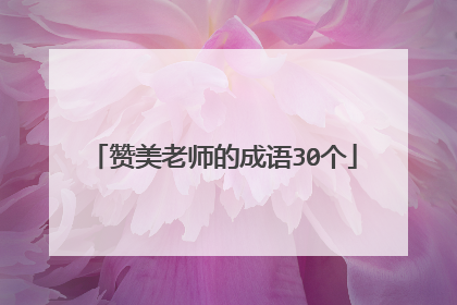 赞美老师的成语30个