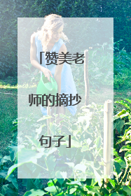 赞美老师的摘抄句子