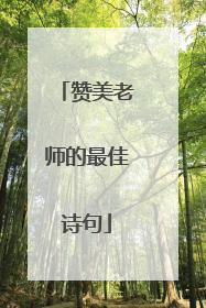 赞美老师的最佳诗句