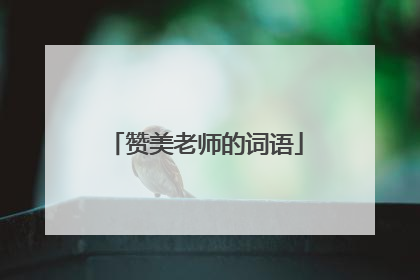 赞美老师的词语