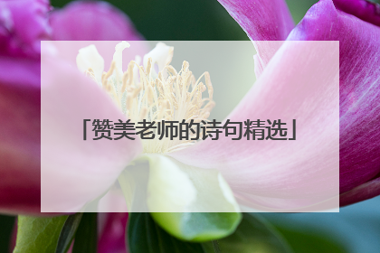 赞美老师的诗句精选