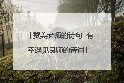 赞美老师的诗句 有幸遇见良师的诗词