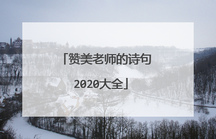赞美老师的诗句2020大全