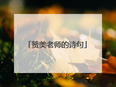 赞美老师的诗句